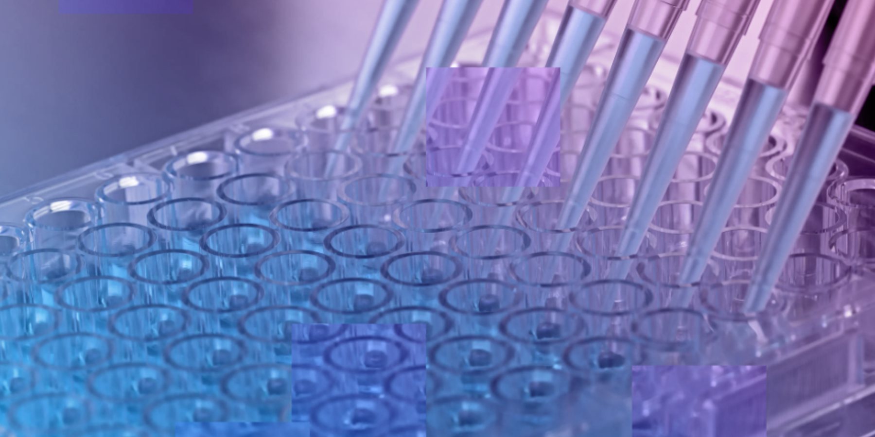 Pipettes over a sample well plate